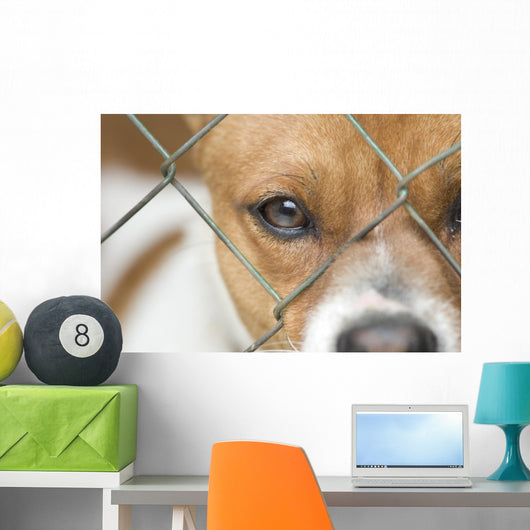 Dog behind Wire Mesh Wall Decal