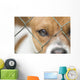 Dog behind Wire Mesh Wall Decal