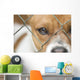 Dog behind Wire Mesh Wall Decal