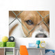 Dog behind Wire Mesh Wall Decal