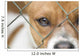 Dog behind Wire Mesh Wall Decal