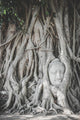 Head Buddha Statue Tree Wall Decal
