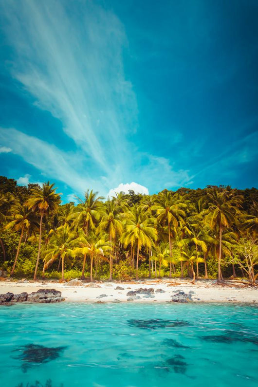 Tropical landscape Wall Mural