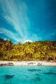 Tropical landscape Wall Mural