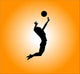 Volleyball Wall Decal Design 1