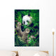 Giant Panda Wall Decal