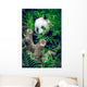 Giant Panda Wall Decal