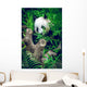 Giant Panda Wall Decal