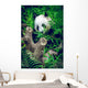 Giant Panda Wall Decal