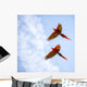 Bright Scarlet Macaw Flight Wall Decal