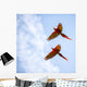 Bright Scarlet Macaw Flight Wall Decal