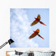 Bright Scarlet Macaw Flight Wall Decal