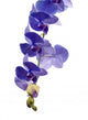 Part Branch with Blue Wall Decal