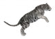 White Tiger Wall Decal Design 3