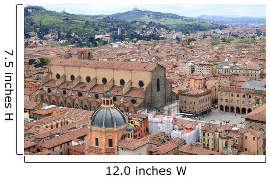 Urban Bologna Wall Decal
