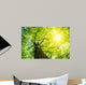 Kastanie im Fr Hling Wall Decal