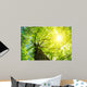 Kastanie im Fr Hling Wall Decal