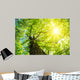 Kastanie im Fr Hling Wall Decal