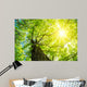 Kastanie im Fr Hling Wall Decal