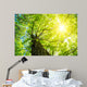 Kastanie im Fr Hling Wall Decal