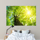 Kastanie im Fr Hling Wall Decal