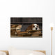 Smart Dog Thinking Wall Decal