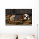 Smart Dog Thinking Wall Decal