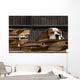 Smart Dog Thinking Wall Decal
