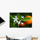 Valencian Orange and Orange Wall Decal