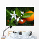 Valencian Orange and Orange Wall Decal