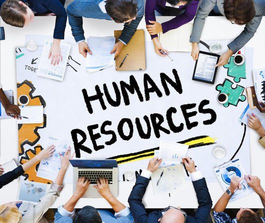 Human Resources Employment Job Wall Decal