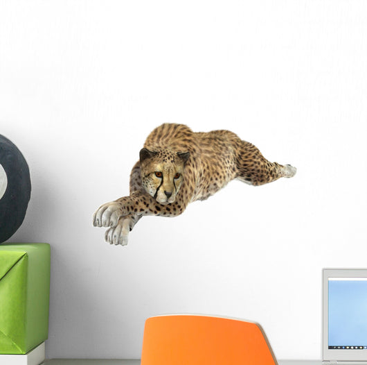 Cheetah Wall Decal Design 6