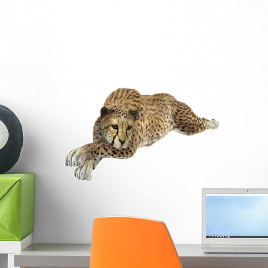 Cheetah Wall Decal Design 6