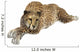 Cheetah Wall Decal Design 6