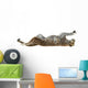Cheetah Wall Decal Design 5