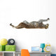 Cheetah Wall Decal Design 5