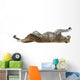 Cheetah Wall Decal Design 5