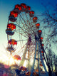 Ferris Wheel Style Instagram Wall Decal