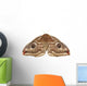 Emperor Moth Saturnia Pavonia Wall Decal