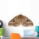 Emperor Moth Saturnia Pavonia Wall Decal