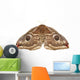 Emperor Moth Saturnia Pavonia Wall Decal