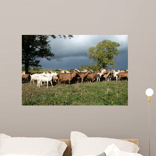 Goats Herd Wall Decal