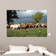 Goats Herd Wall Decal