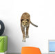 Cheetah Wall Decal Design 4