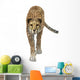 Cheetah Wall Decal Design 4