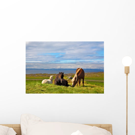 Farm Grazing Herds Wall Decal
