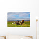Farm Grazing Herds Wall Decal