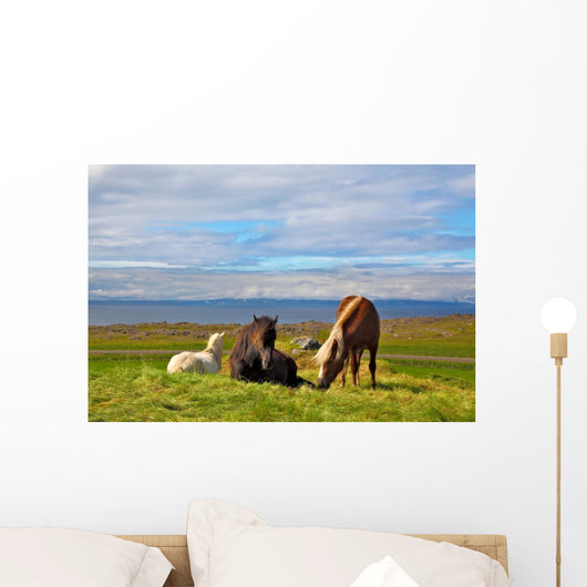 Farm Grazing Herds Wall Decal