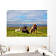 Farm Grazing Herds Wall Decal
