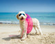 Hund Mit Schwimmreifen Am Wall Decal